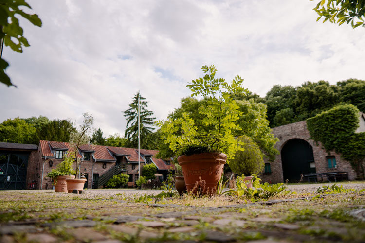 Innenhof-neu